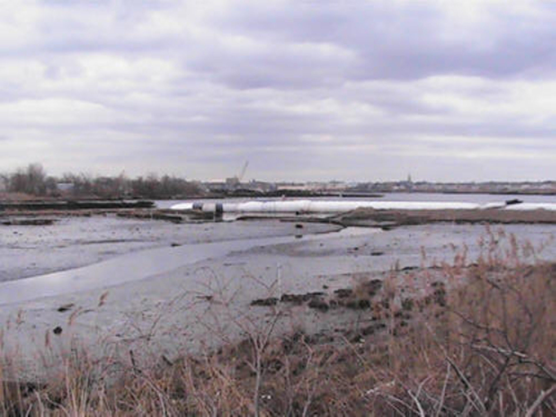 Staten Island, NY 2006