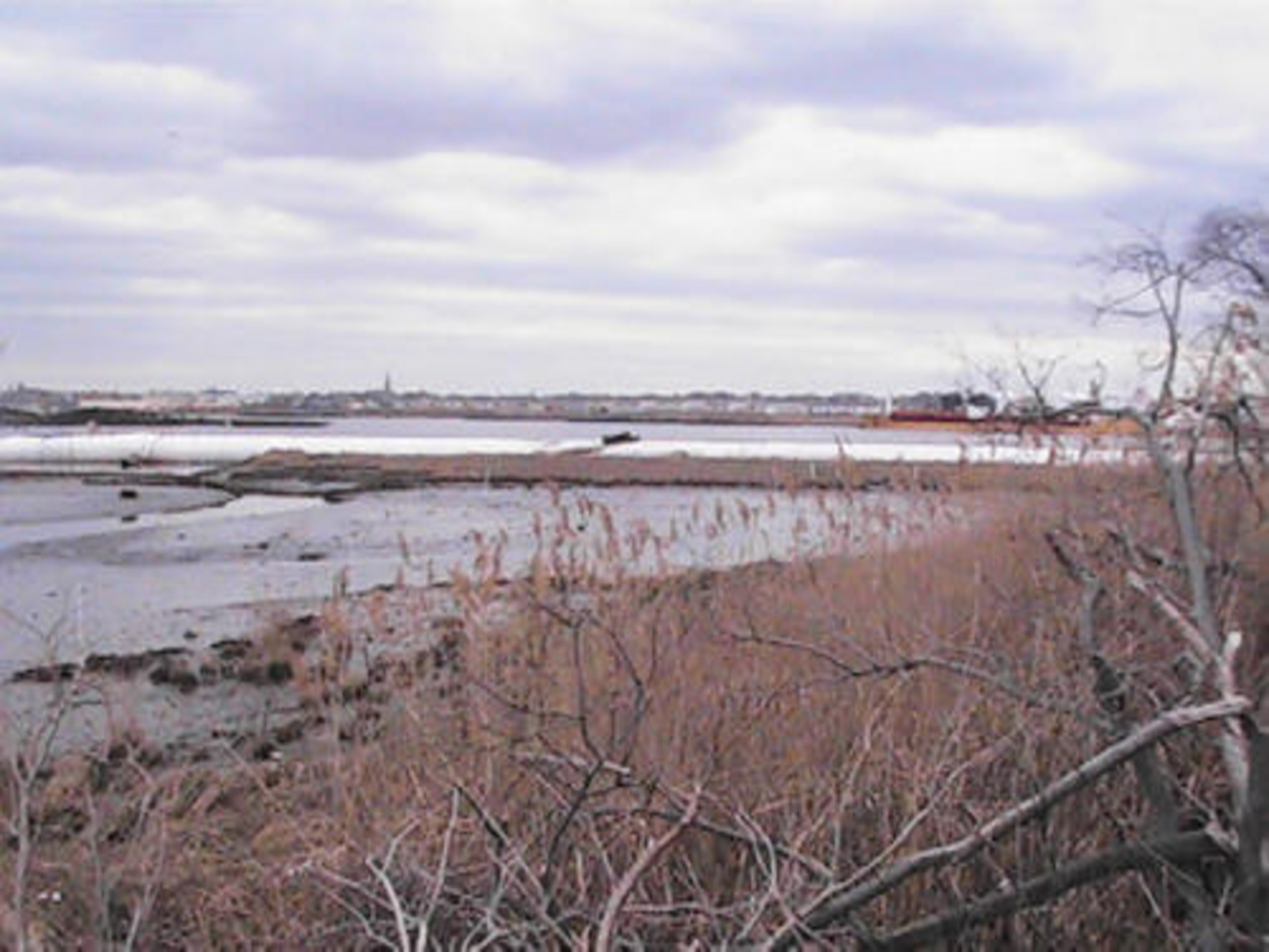 Staten Island, NY 2006
