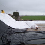 Watsonville, CA 2005