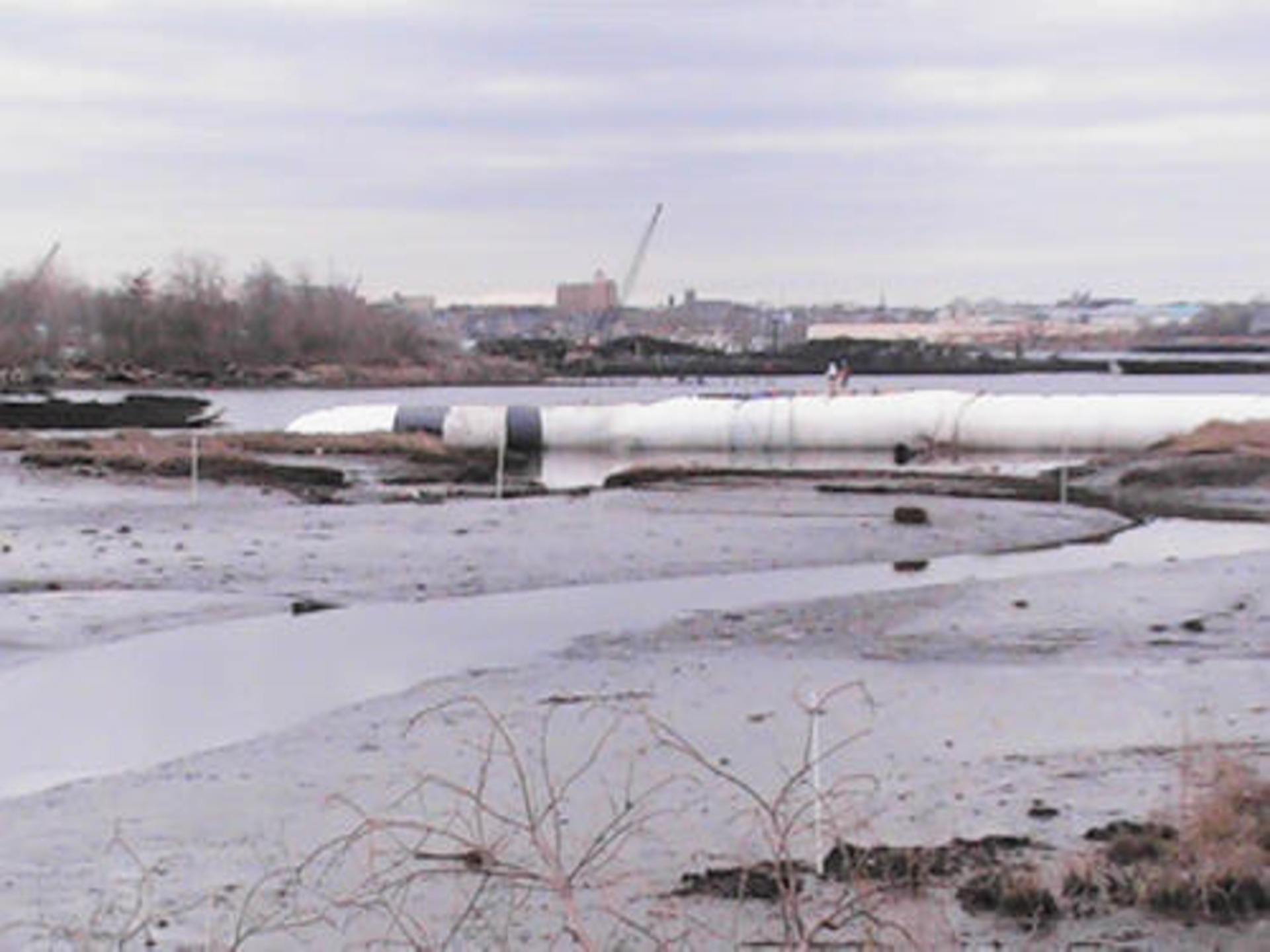 Staten Island, NY 2006