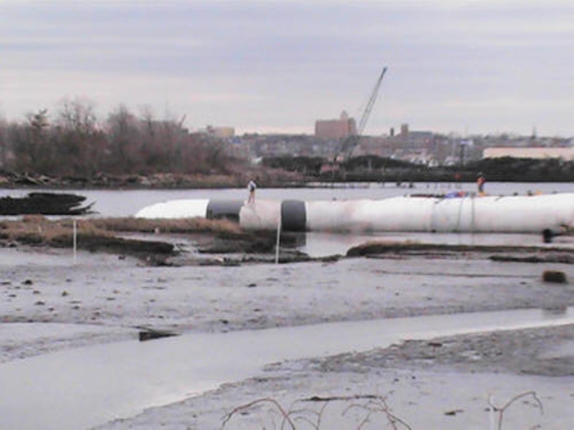Staten Island, NY 2006