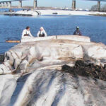 Staten Island, NY 2006