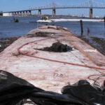 Staten Island, NY 2006