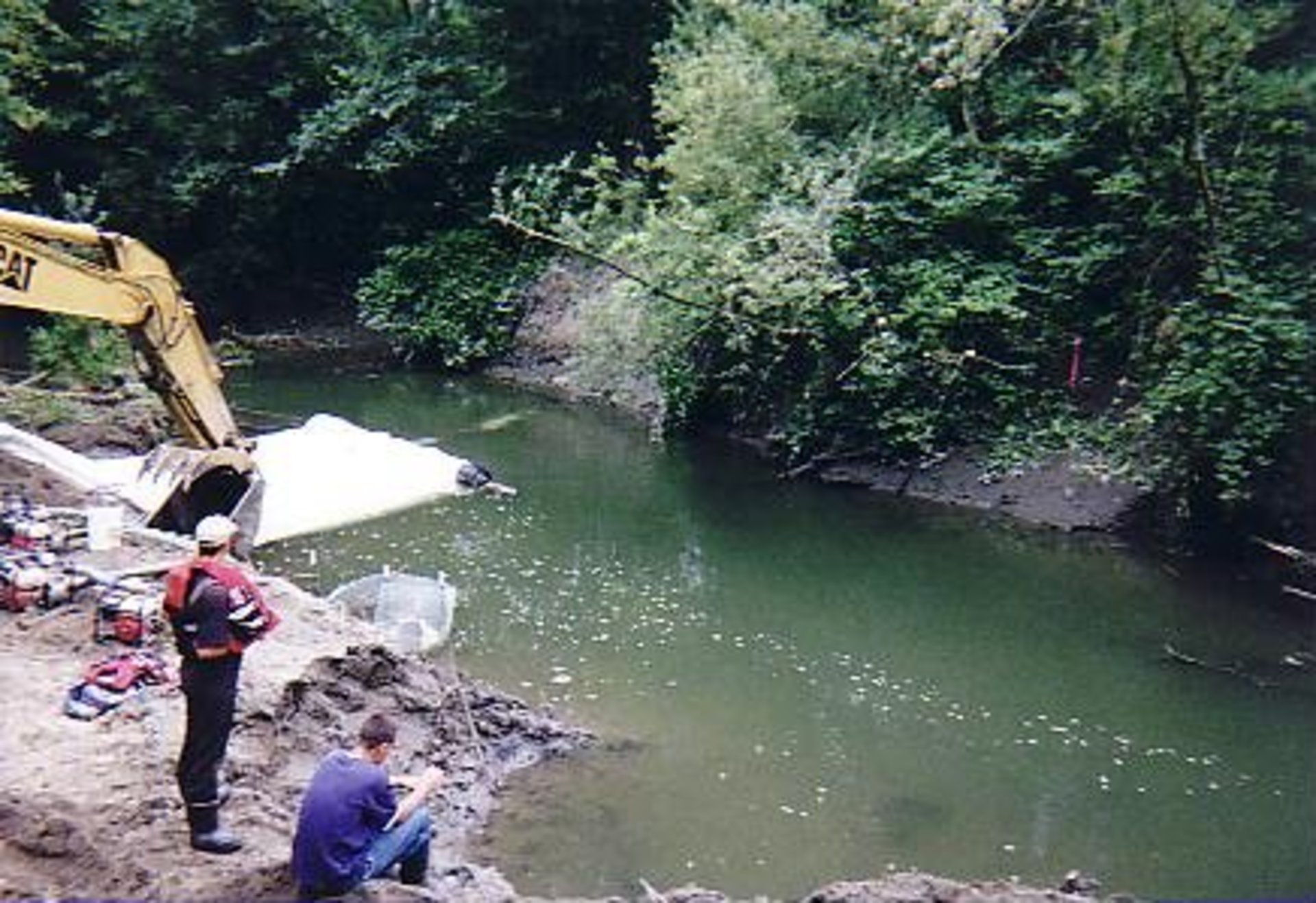 Northern Washington 2002