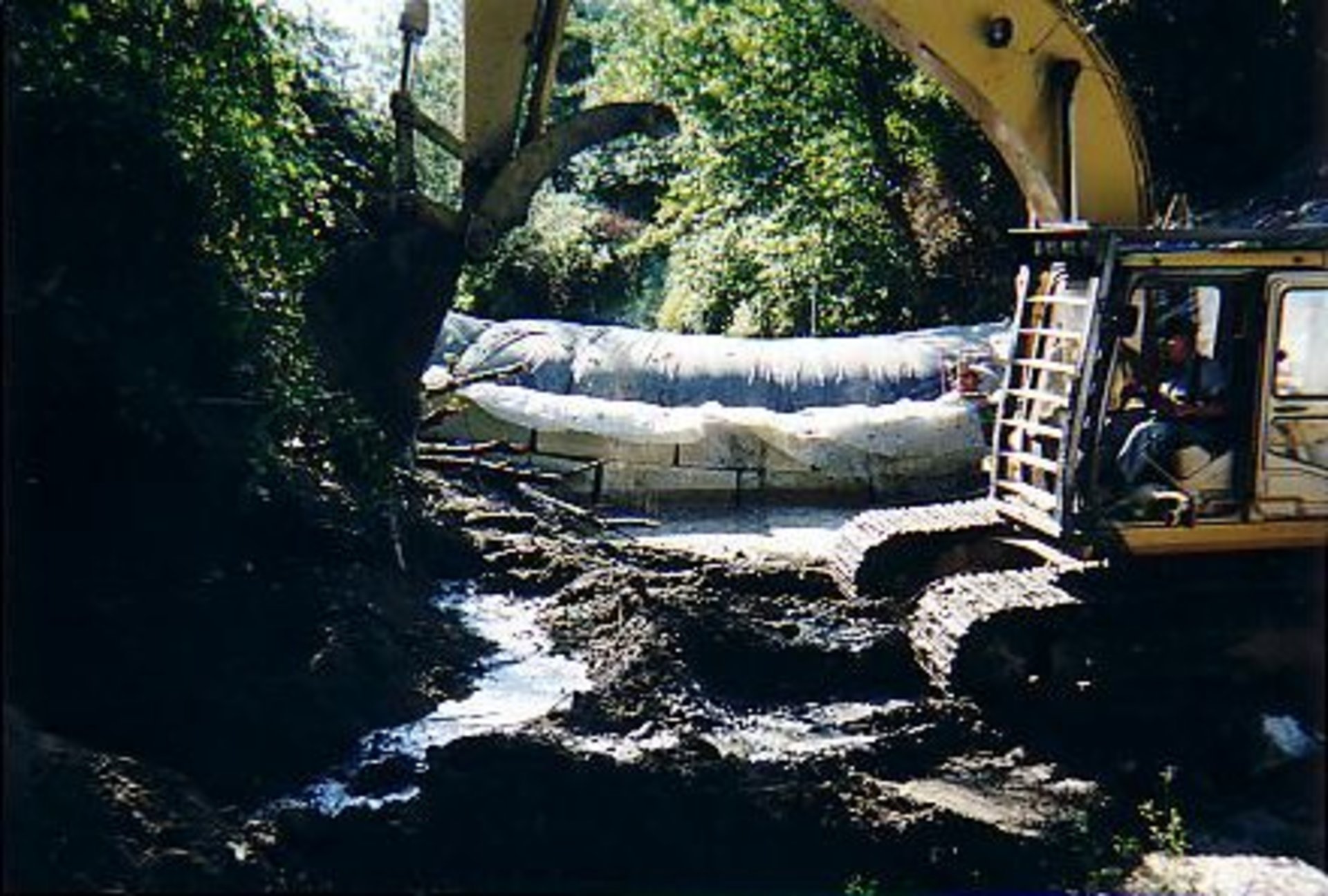 Northern Washington 2002