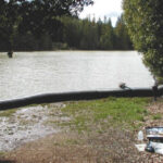 Willits, CA 2003