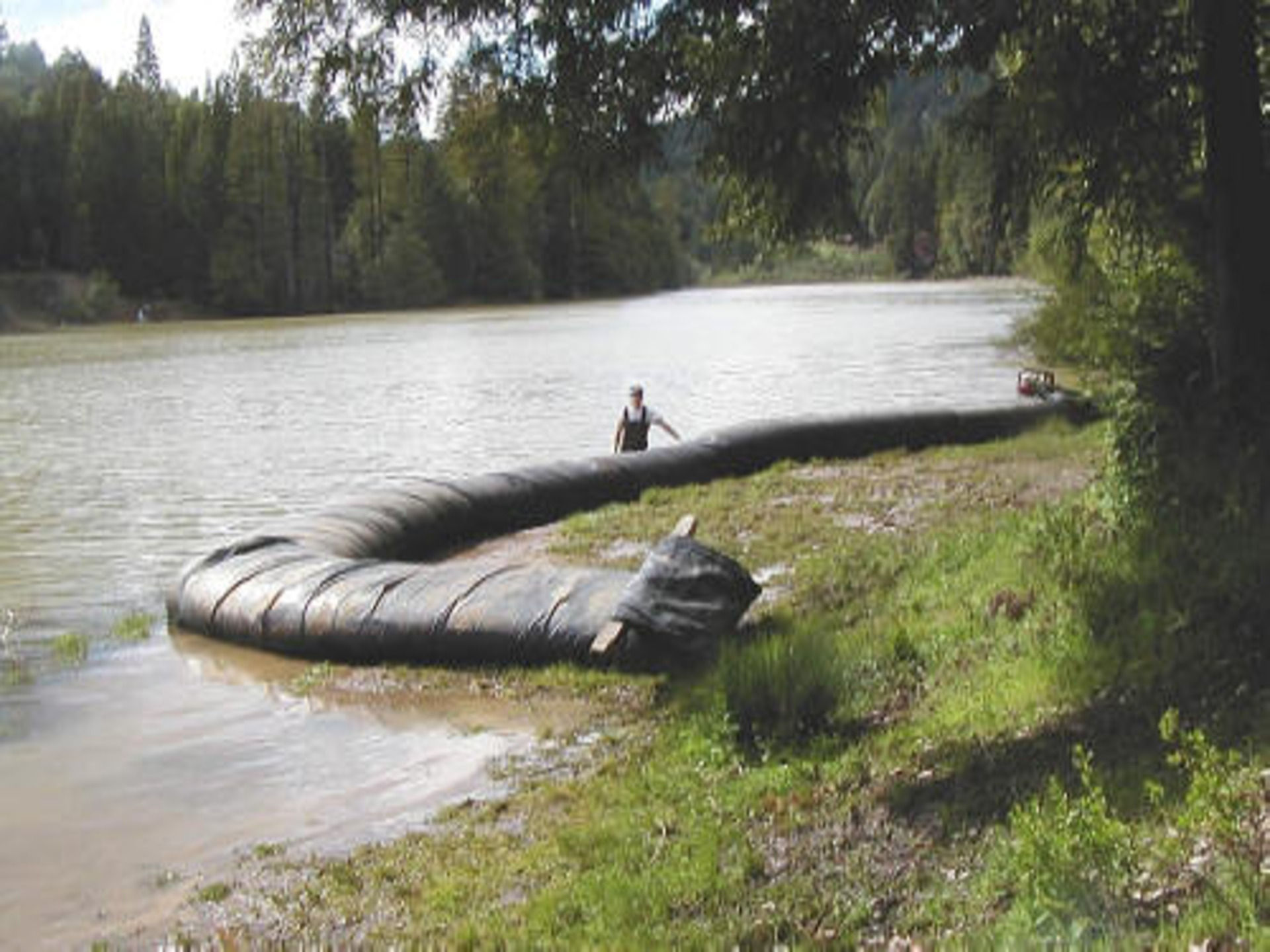 Willits, CA 2003