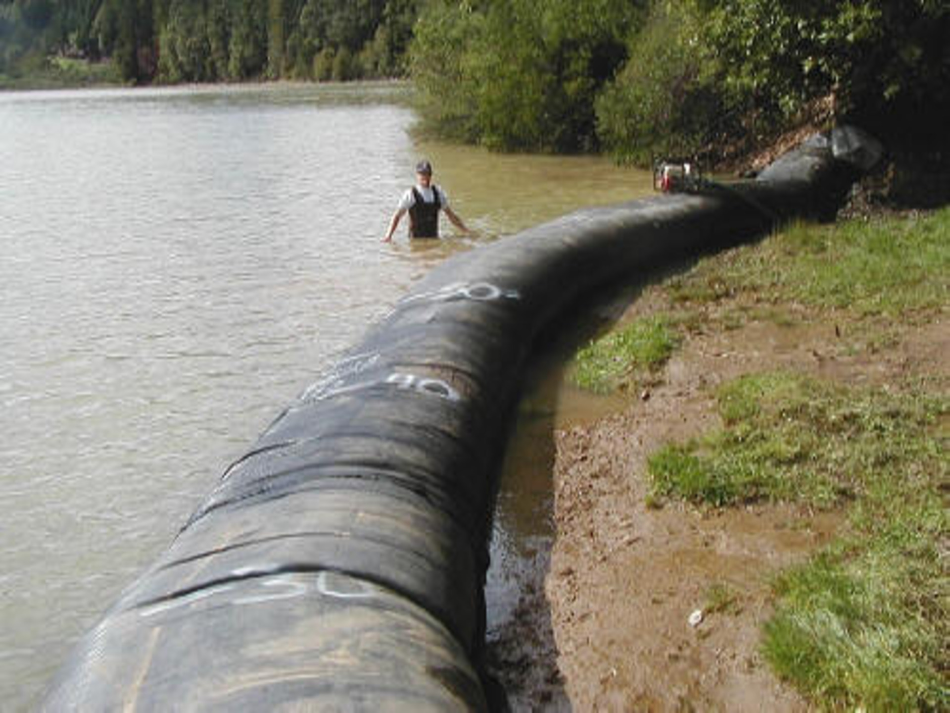 Willits, CA 2003
