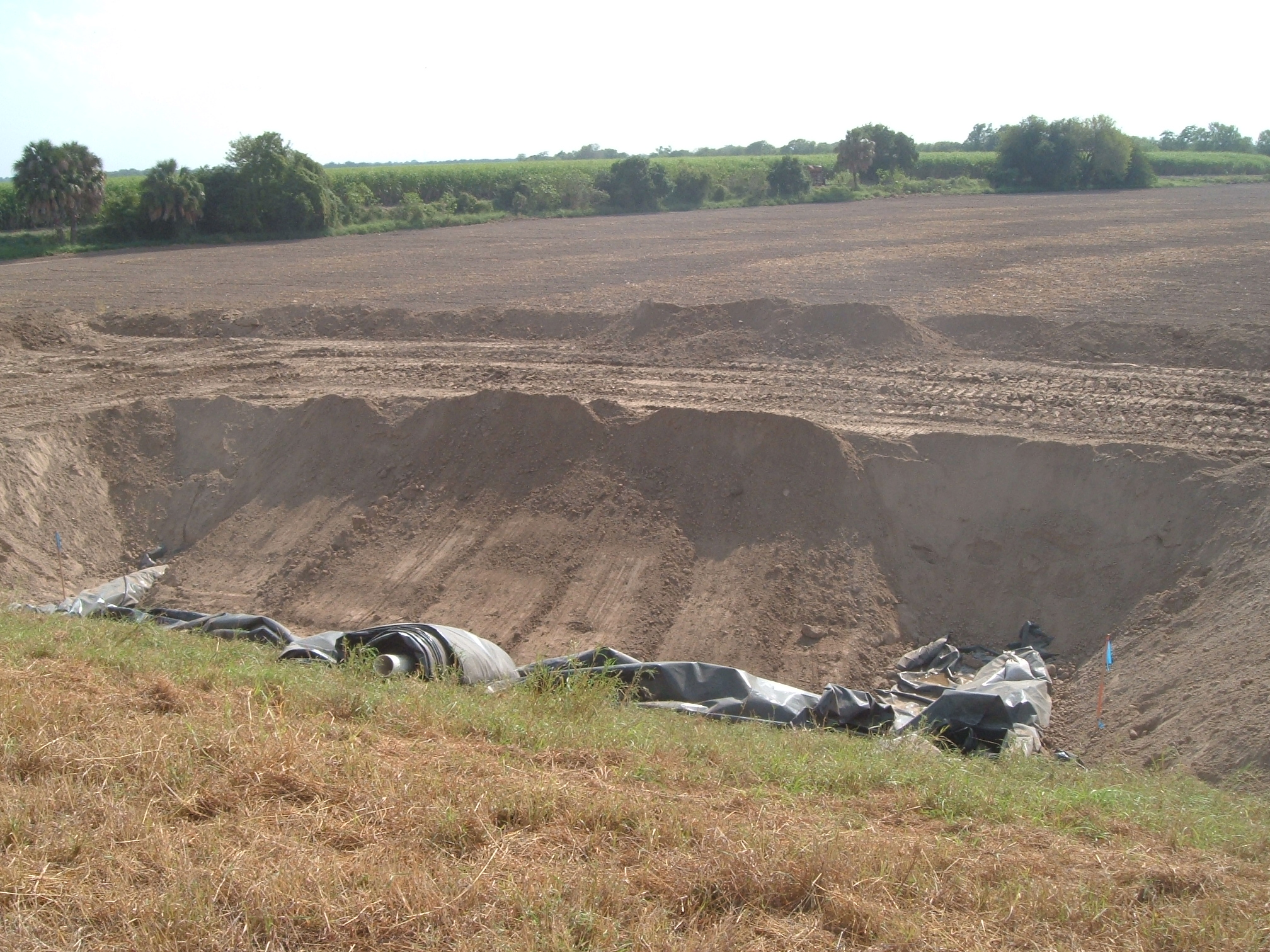 Donna, TX 2004