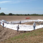 Donna, TX 2004