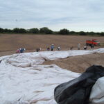 Donna, TX 2004