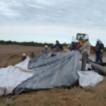 Donna, TX 2004