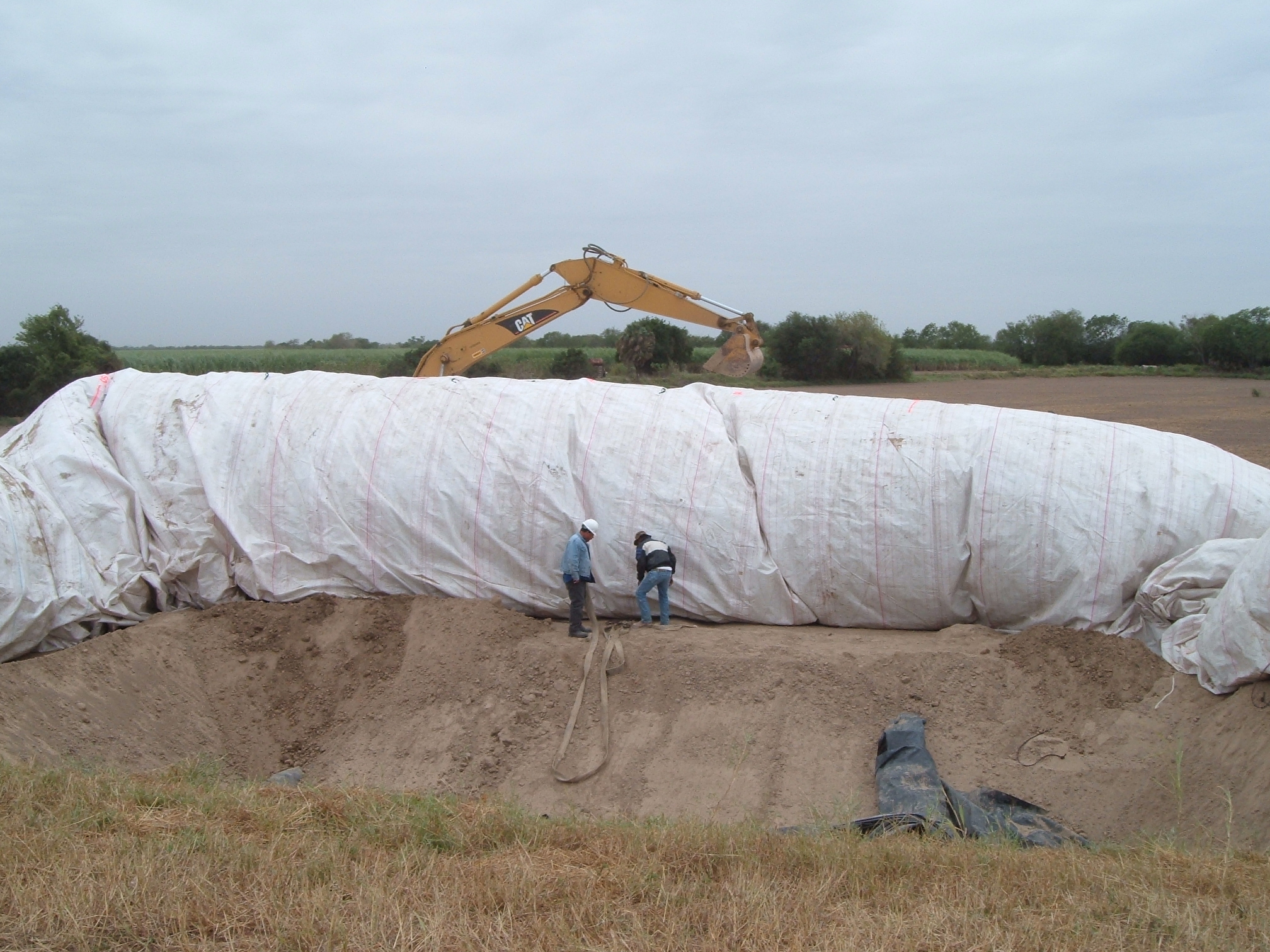 Donna, TX 2004