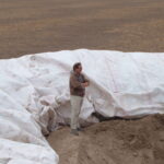 Donna, TX 2004