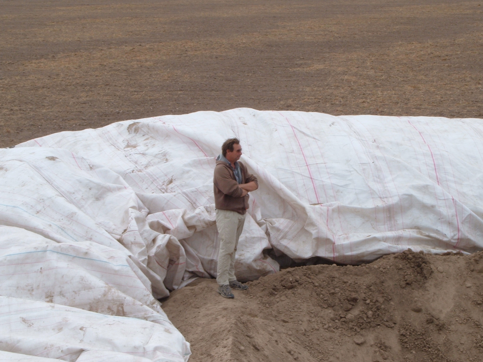 Donna, TX 2004