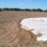 Donna, TX 2004