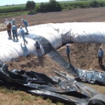 Donna, TX 2004