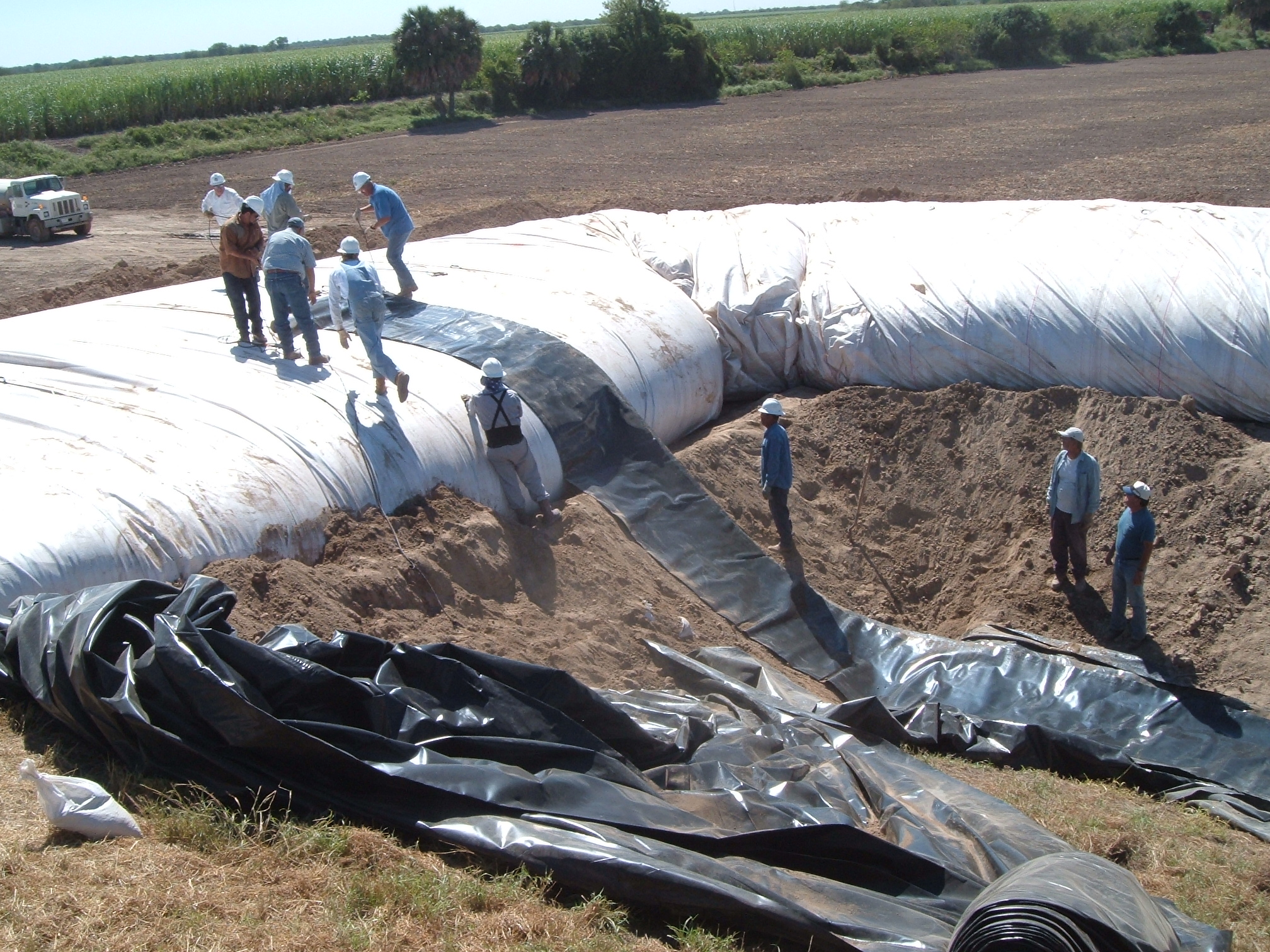 Donna, TX 2004