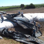 Donna, TX 2004
