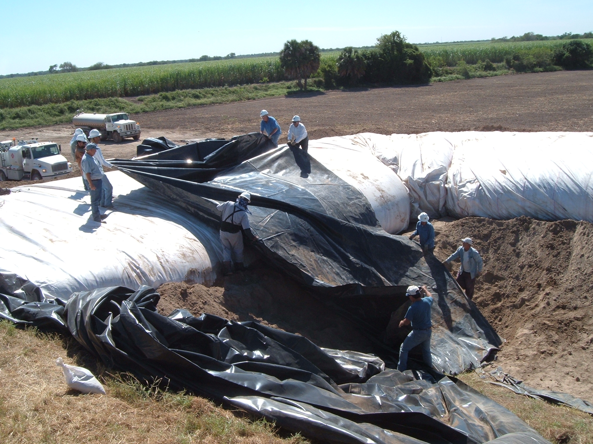 Donna, TX 2004