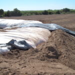 Donna, TX 2004