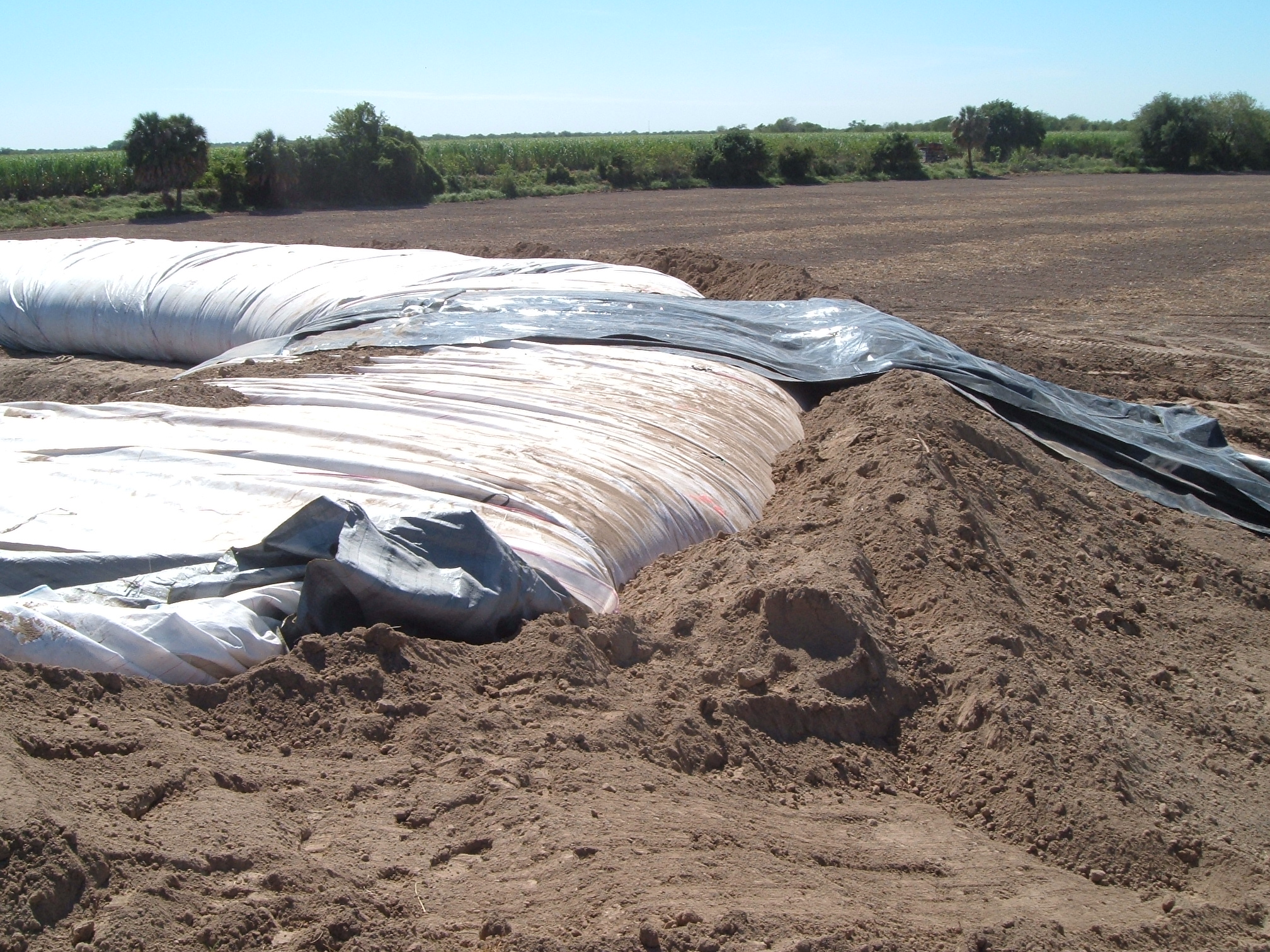 Donna, TX 2004