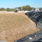 Donna, TX 2004