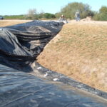 Donna, TX 2004