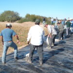 Donna, TX 2004