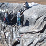 Donna, TX 2004