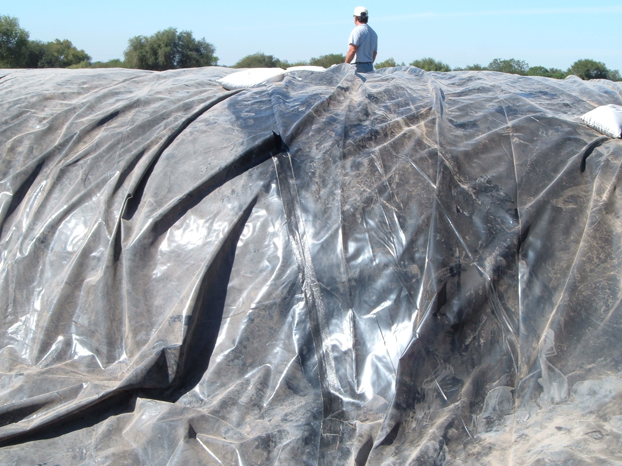 Donna, TX 2004