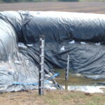 Donna, TX 2004