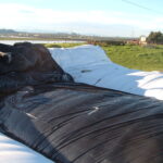 Watsonville, CA 2005