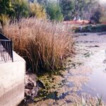 Lake Hughes, CA 2003
