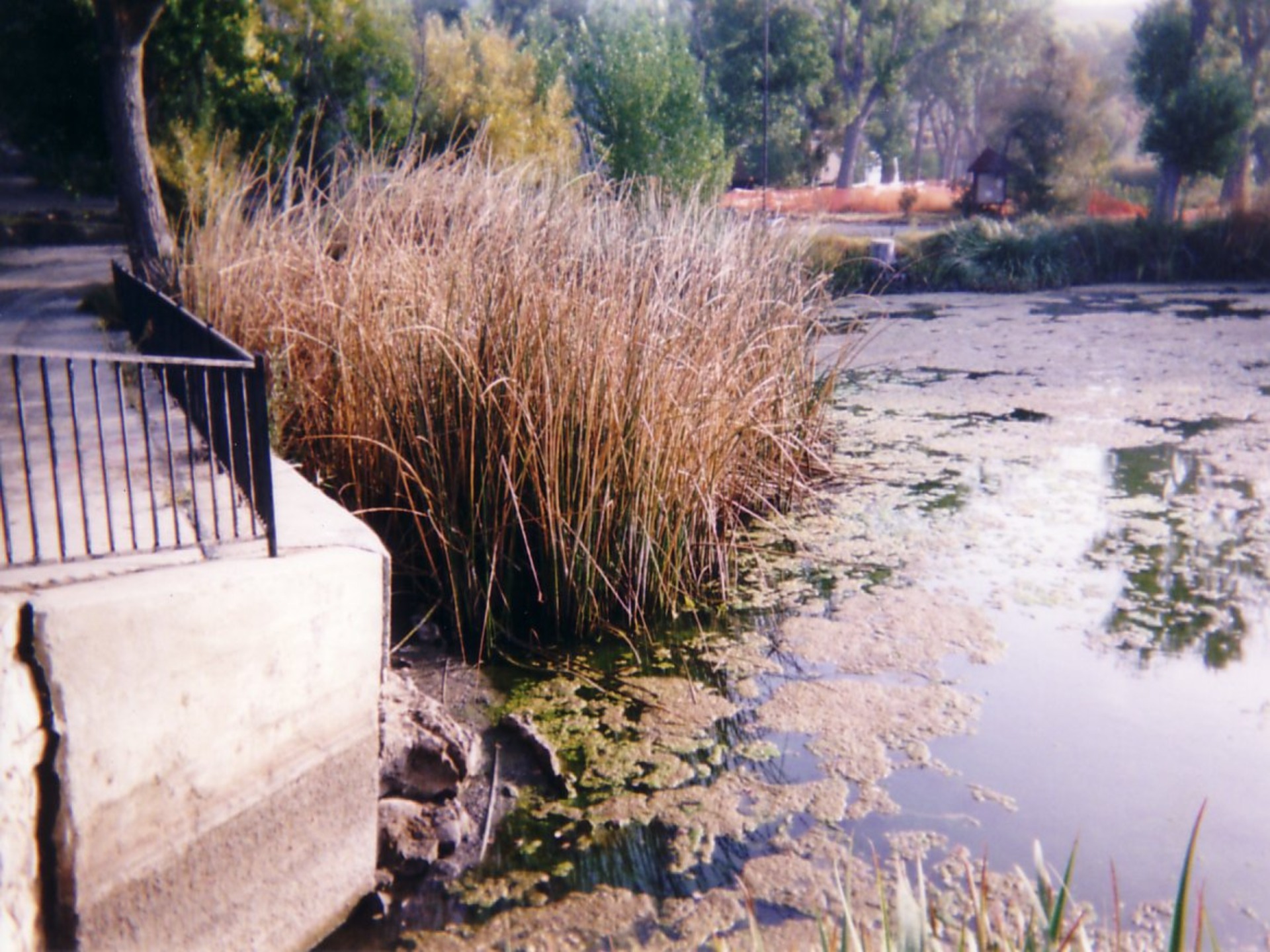 Lake Hughes, CA 2003