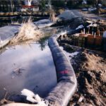 Lake Hughes, CA 2003