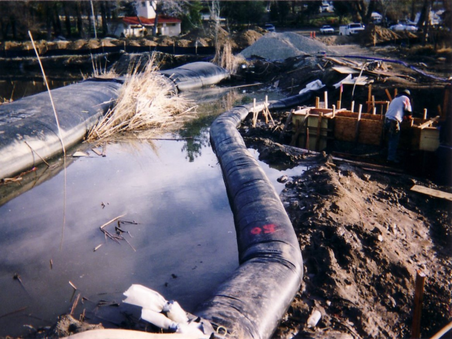 Lake Hughes, CA 2003