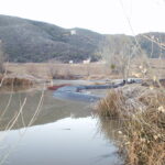 Lake Hughes, CA 2003