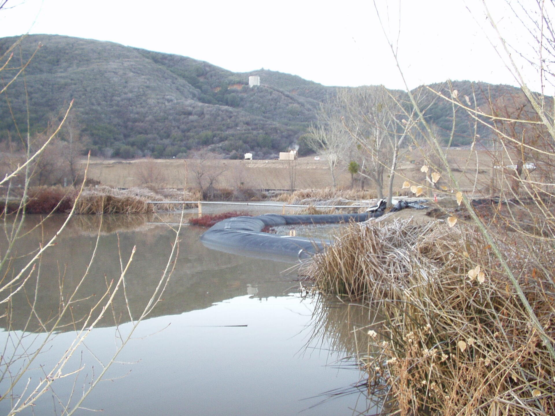Lake Hughes, CA 2003