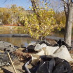 Lake Hughes, CA 2003