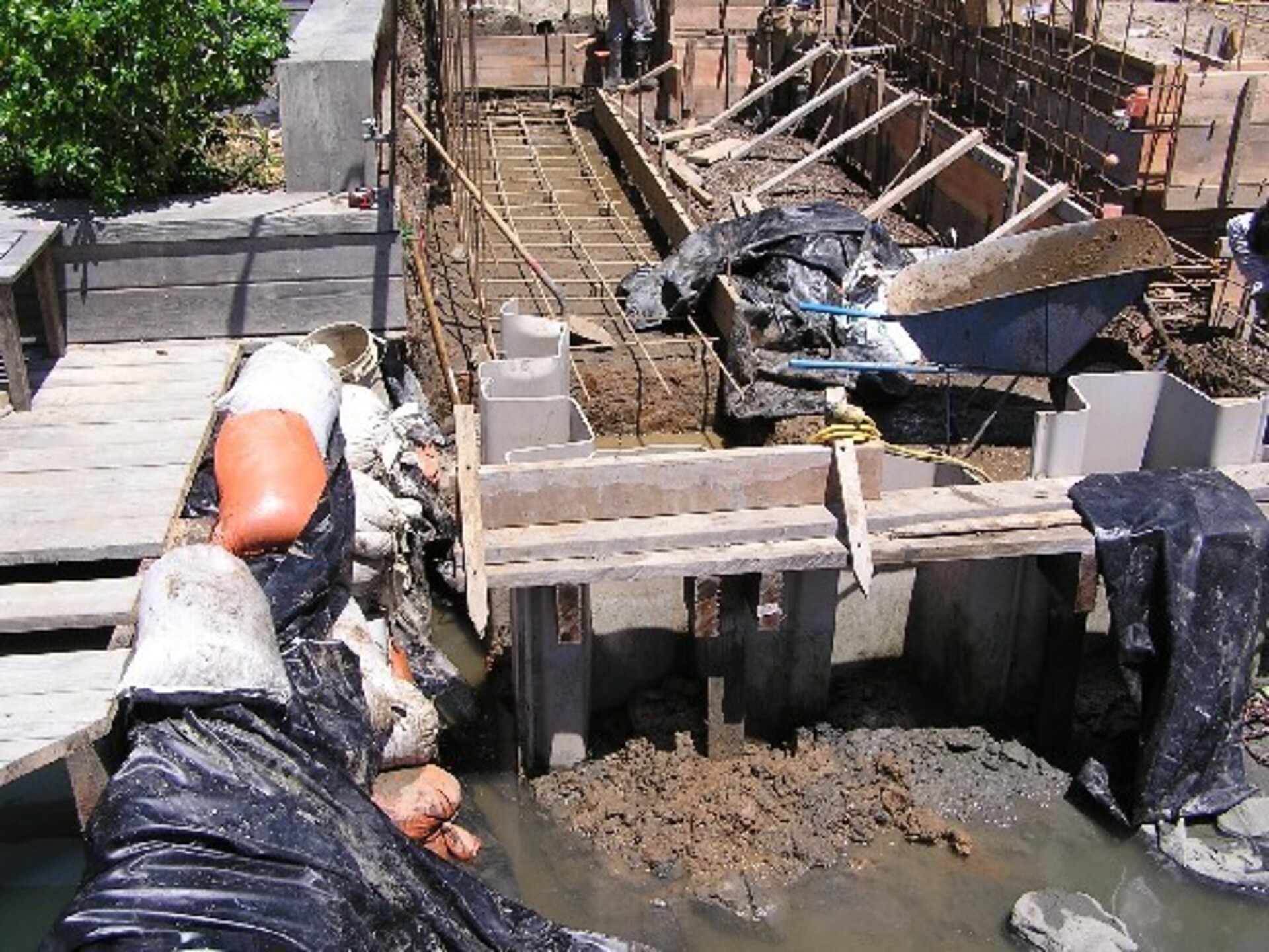 Tiburon, CA 2005