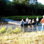 Williamsport, PA 2001