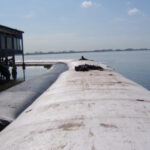 Tampa Bay, FL 2007