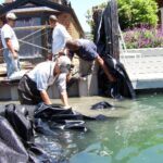 Tiburon, CA 2005