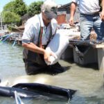 Tiburon, CA 2005