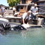 Tiburon, CA 2005