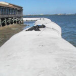 Tampa Bay, FL 2007