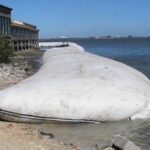 Tampa Bay, FL 2007