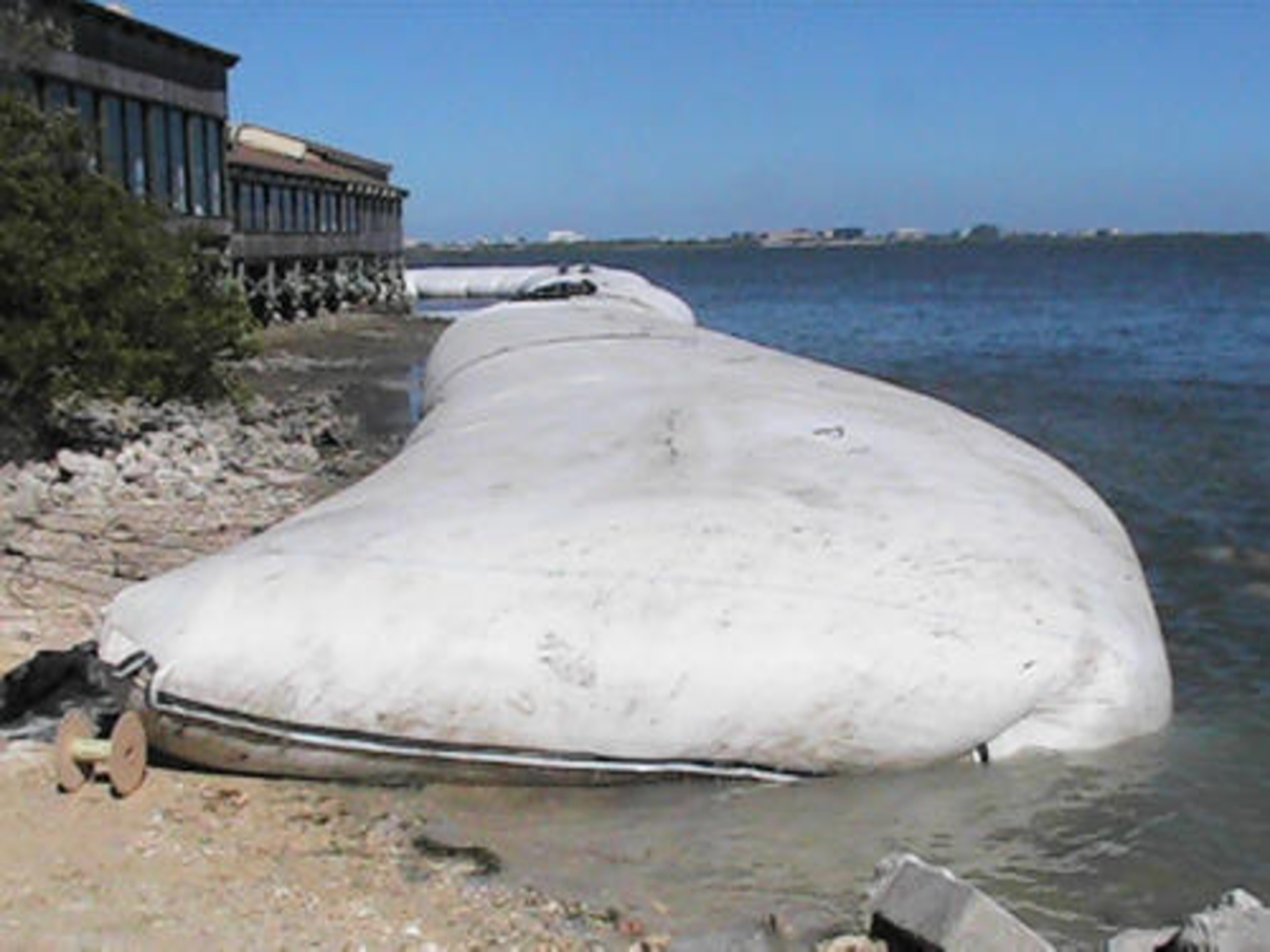 Tampa Bay, FL 2007