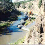 Trout Creek, OR 1998